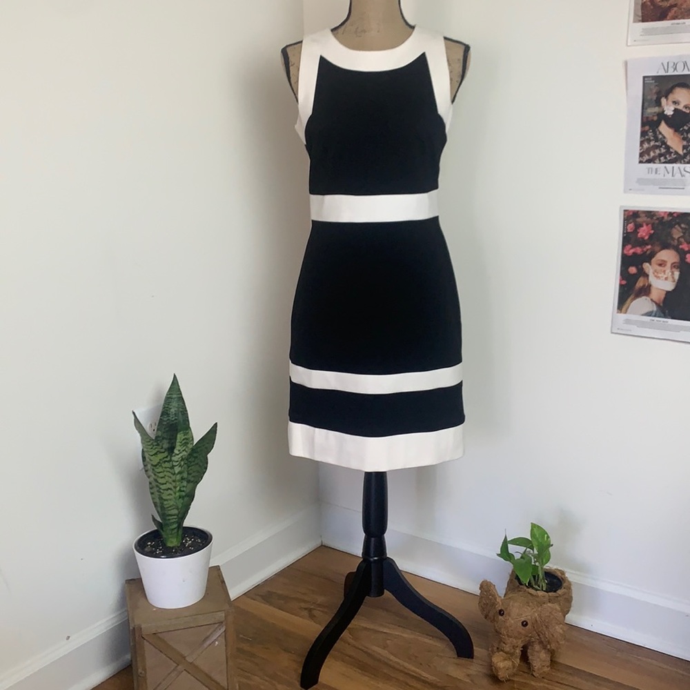 White House Black Market Black and White Sleeveless Sheath Dress